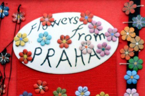 Květiny z Prahy
